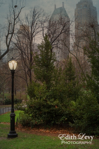 New York, Manhattan, Central Park, path, trees, light post, rain, texture, buildings